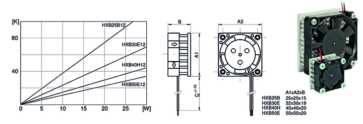 HXB12_1.jpg